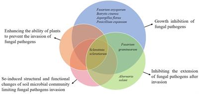 The use of selenium for controlling plant fungal diseases and insect pests